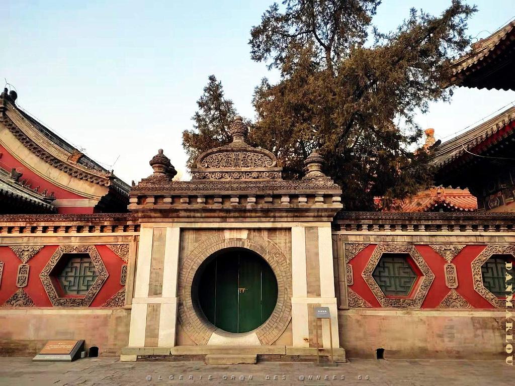 2023 02 05  PEKIN - WANSHOU TEMPLE LONGEVITE BIENVEILLANCE (44).jpg